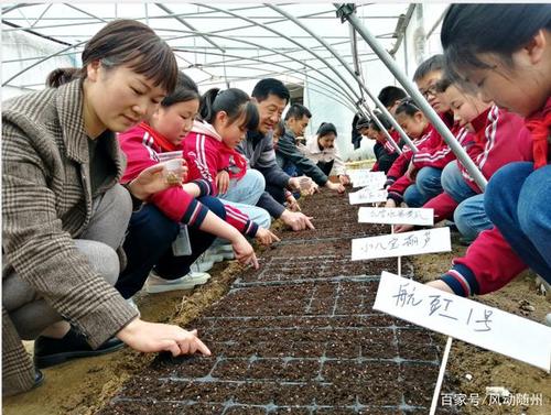 尚市镇净明小学举行"太空种子种植活动"